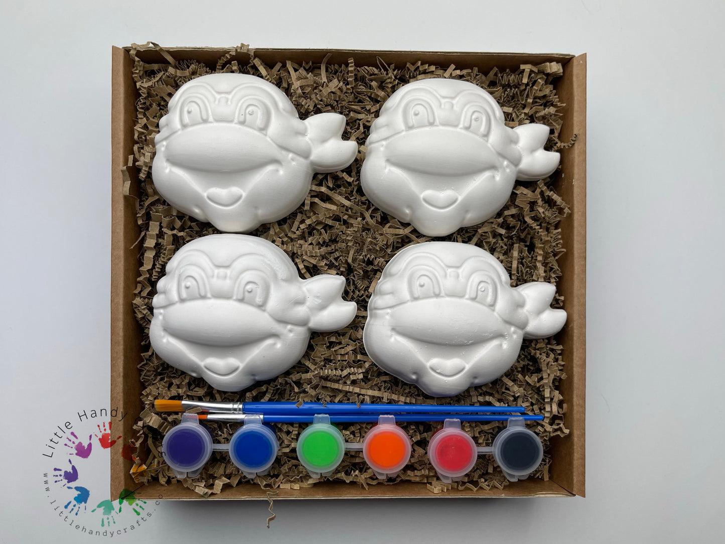 Turtles - Painting Box