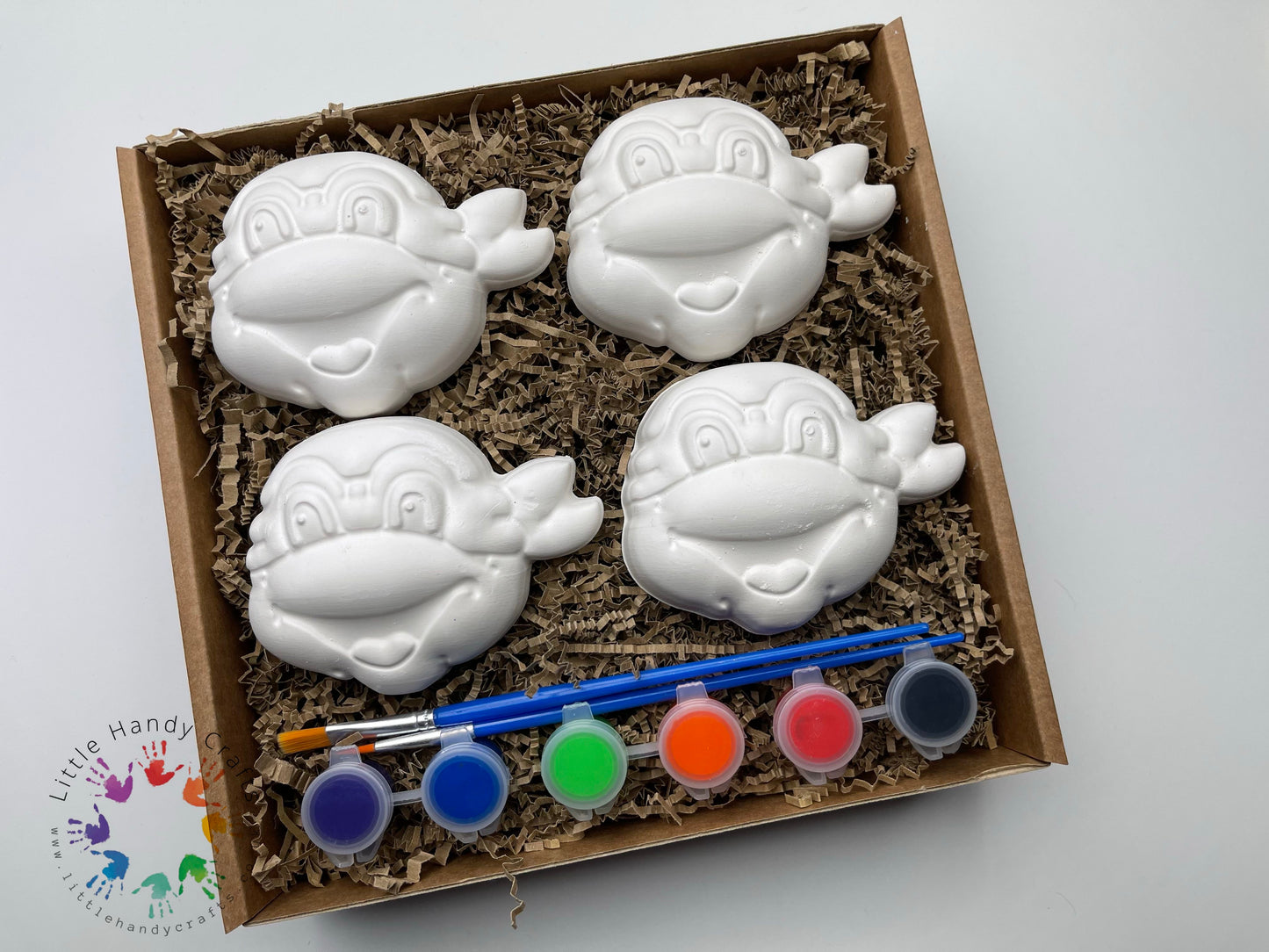 Turtles - Painting Box